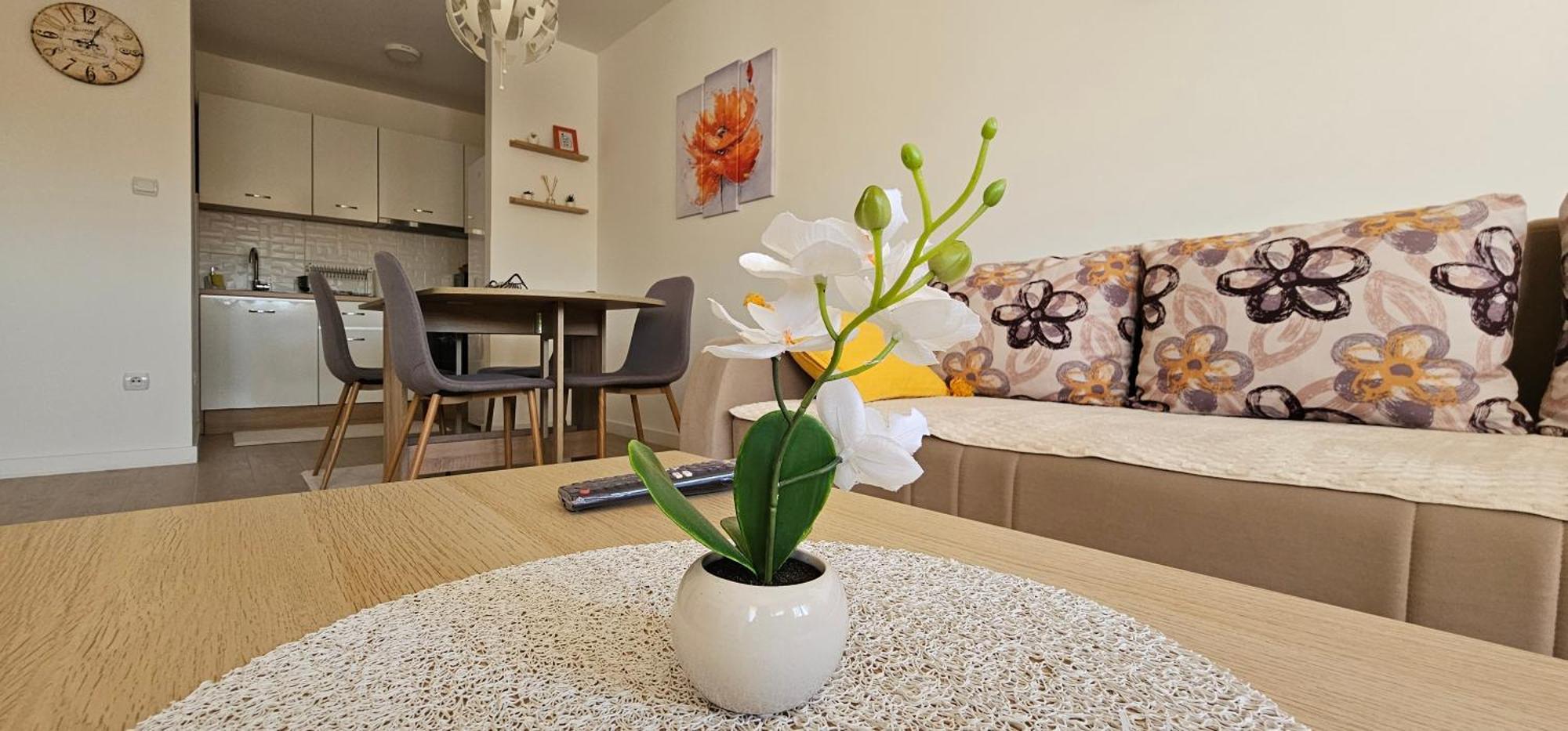Apartman Vukota 2 ปิโรต์ ภายนอก รูปภาพ
