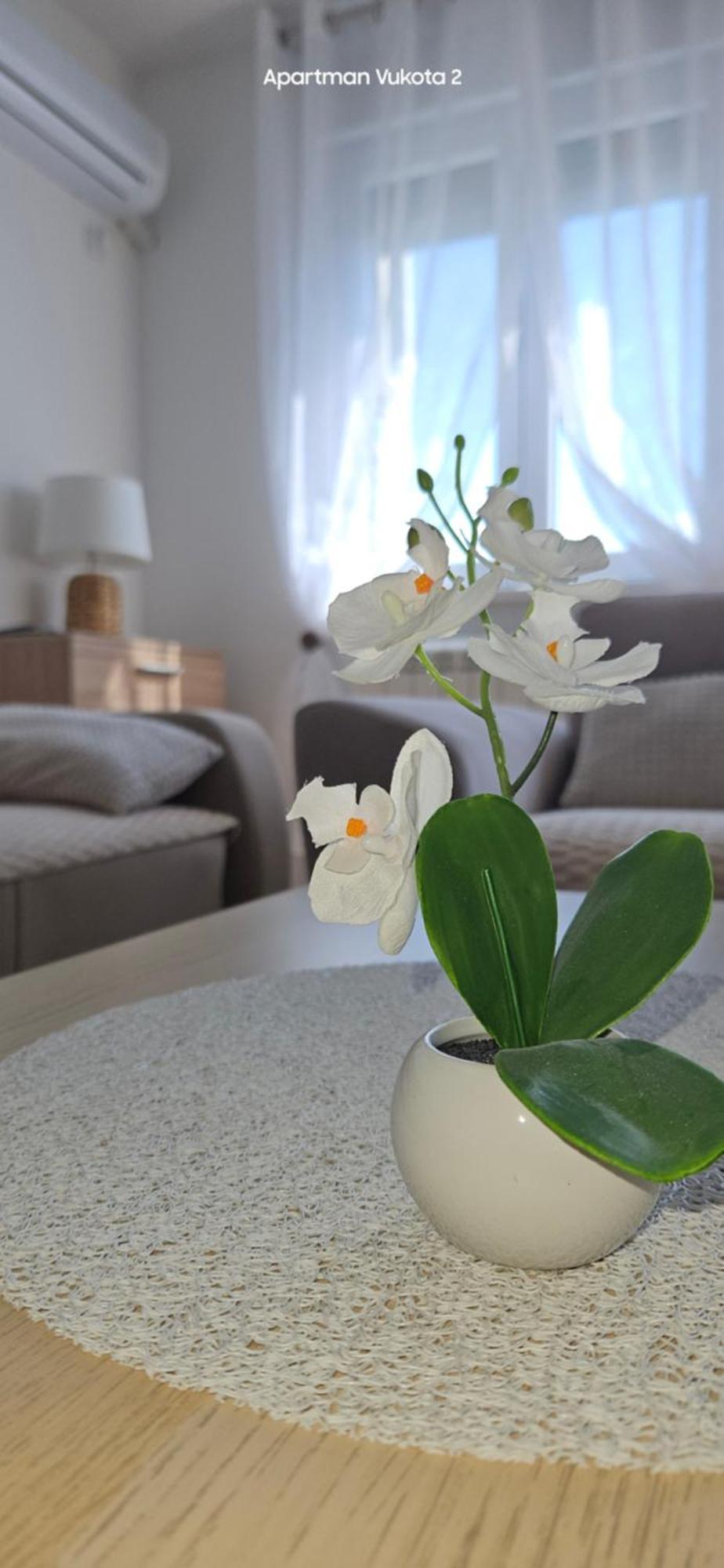 Apartman Vukota 2 ปิโรต์ ภายนอก รูปภาพ